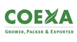 Coexa