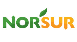 Norsur