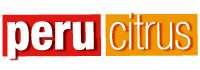 Logo Peru Citrus